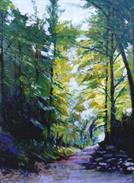 Belinda Ward - Woodland Walk, Portugal